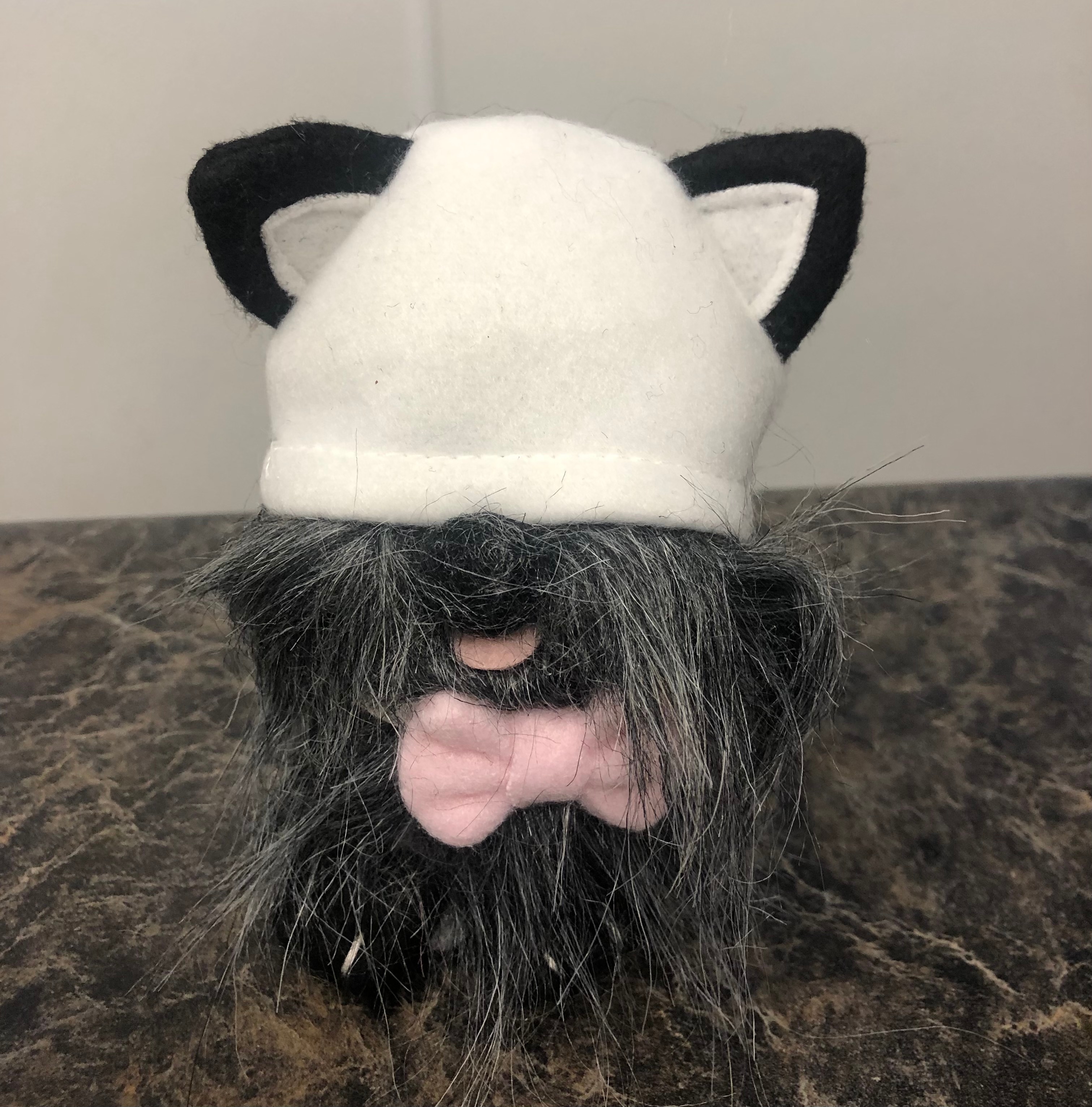 Gnome Cat